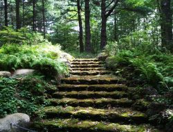 Worcester Botanical Gardens A Haven of Serenity