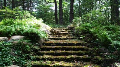Life From The Roots: Tower Hill Botanical Garden, Worcester, MA and a ...