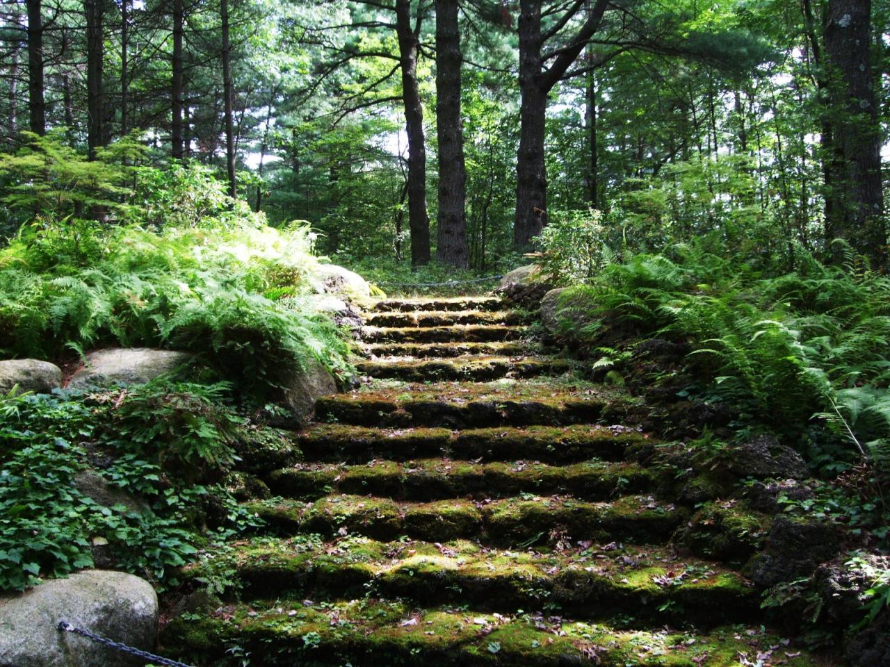 Life From The Roots: Tower Hill Botanical Garden, Worcester, MA and a ...