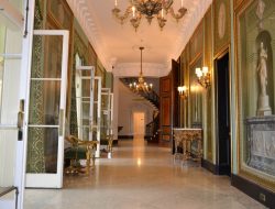 Cheekwood Botanical Gardens & Estate A Serene Escape