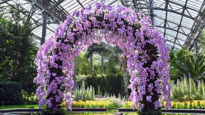 Longwood Gardens A Serene Retreat In Natures Beauty