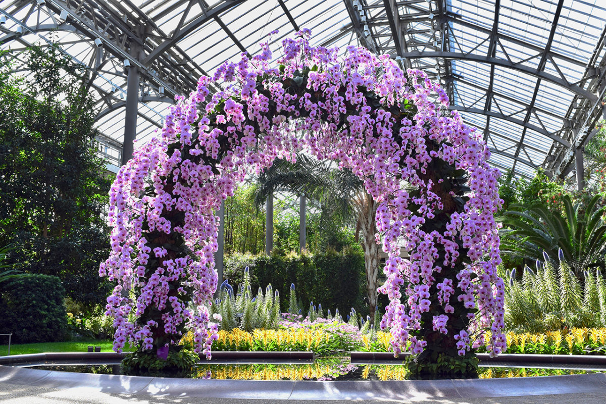 Longwood gardens