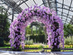 Longwood Gardens A Serene Retreat In Natures Beauty