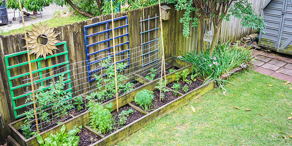 Experience Memphis Gardens | A summer of gardens featuring botanical ... Experience Memphis Gardens | A summer of gardens featuring botanical ...