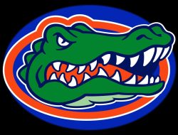 Florida Vehicle Insurance Companies In A Nutshell