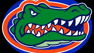 Florida Vehicle Insurance Companies In A Nutshell