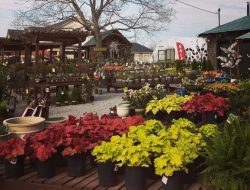 Botanical Gardens In Nashville A Serene Escape In Nature