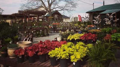 Brilliant-cheekwood-botanical-garden-museum-of-art-botanical-garden ...