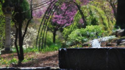 Erin's art and gardens: cheekwood botanical gardens..