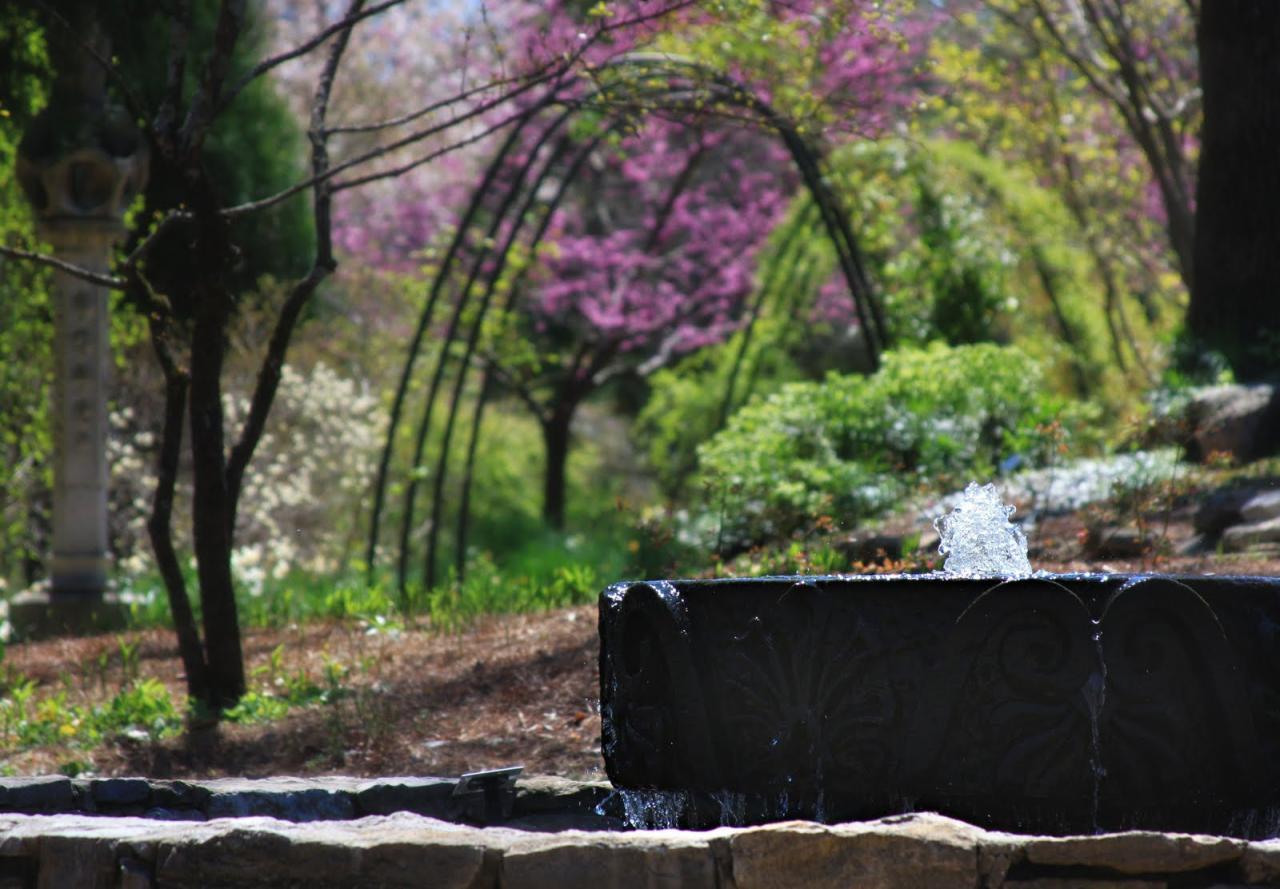 Erin's art and gardens: cheekwood botanical gardens..