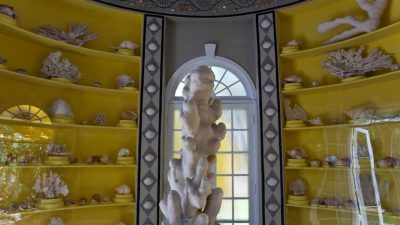 Bonnet house museum gardens