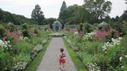 Old westbury gardens