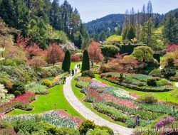 victoria gardens A Serene Escape in Nature