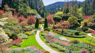 victoria gardens A Serene Escape in Nature