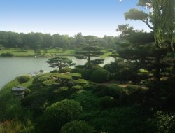 nashville gardens botanical Exploring Natures Beauty