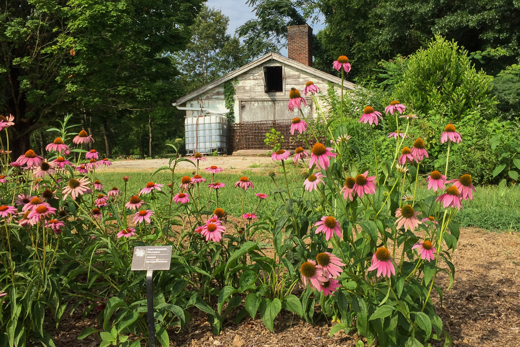 Knoxville Botanical Gardens Walking Trails – Legacy Parks Foundation