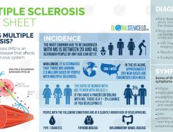 Ms In Electrical And Computer Engineering Overview