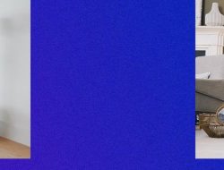 Best Online Vehicle Insurance Made Easy For Everyone