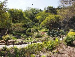 Sunken gardens a unique blend of beauty and nature