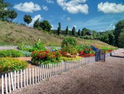 Botanical Gardens Green Bay A Haven Of Natures Beauty