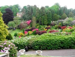 Gardens of Westbrooke A Green Sanctuary Awaits