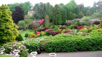 Staffordshire Photo: Summer gardens