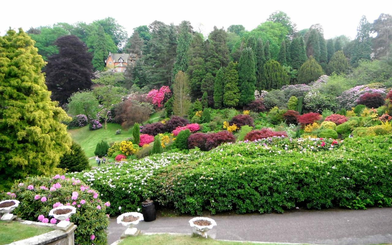 Staffordshire Photo: Summer gardens