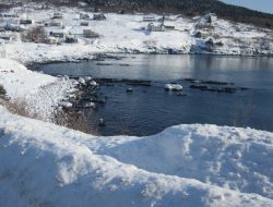 Cold storage essential for modern preservation needs