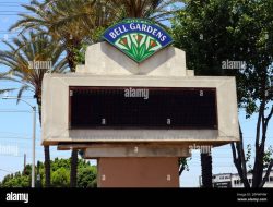 Bell Gardens A Glimpse Into Translations World