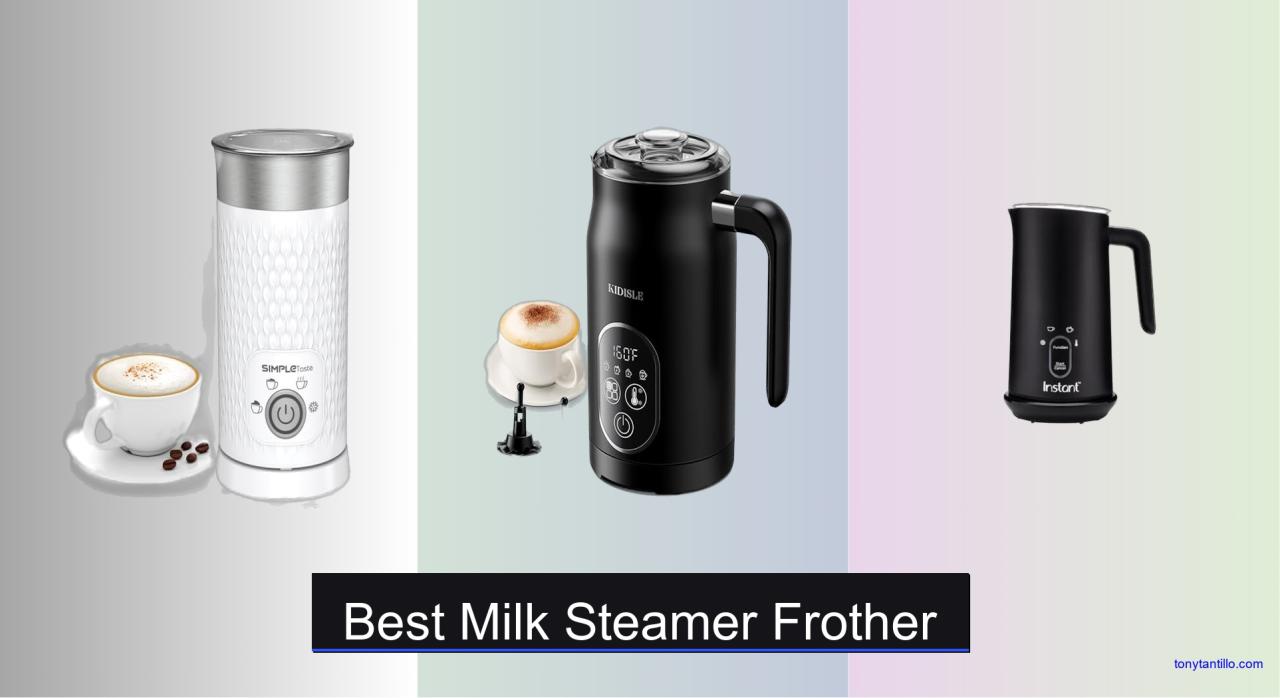6 Best Milk Steamer Frothers to Buy in 2025 - Tony Tantillo