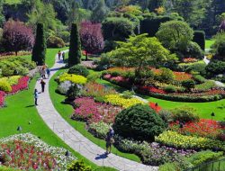 Butchart Gardens A Stunning Floral Paradise