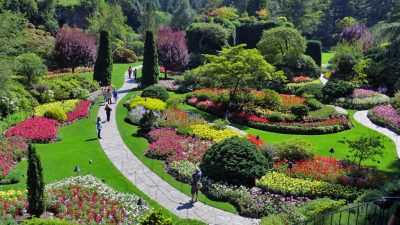 7 Pics Butchart Gardens Victoria Canada And Description - Alqu Blog