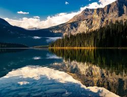 Reflections water gardens a serene escape into nature