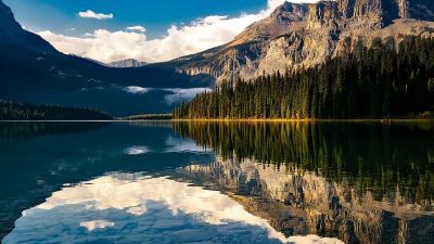 Reflections water gardens a serene escape into nature