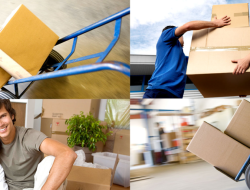 Movers And Storage Solutions For Your Seamless Transition