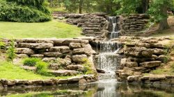 Cheekwood Estate and Gardens