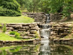 Cheekwood Gardens A Serene Escape into Nature