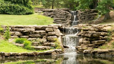 Cheekwood Gardens A Serene Escape into Nature