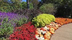 Less than or equal to mathematics symbol Vector Image