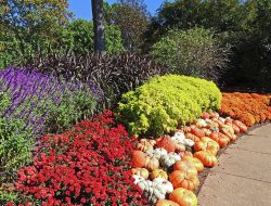 Cheekwood Gardens Nashville A Botanical Paradise Awaits