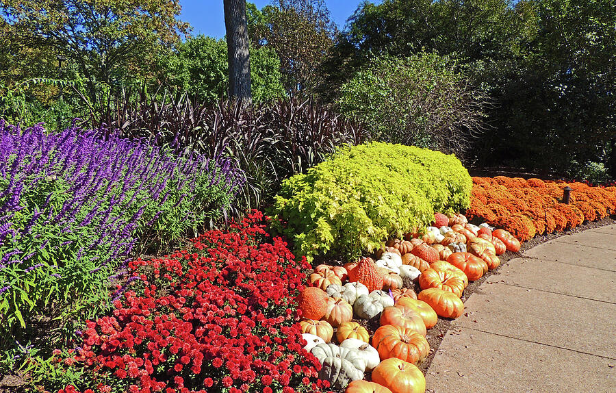 Less than or equal to mathematics symbol Vector Image