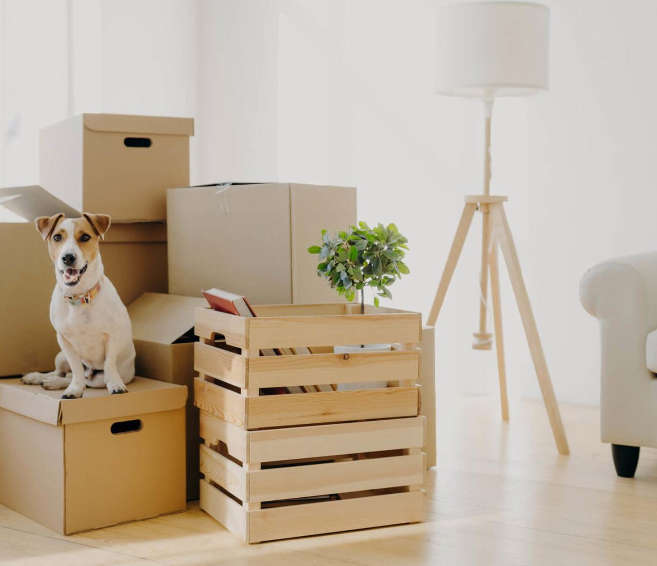 How Long Will Moving Companies Store Your Stuff? (10 Best Options)