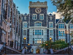 Self Storage Plus Maximizing Space Efficiency