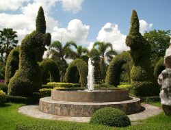 Gardens Near Me Exploring Local Green Spaces