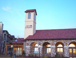 Amarillo Coulter Gardens A Vibrant Oasis Of Nature