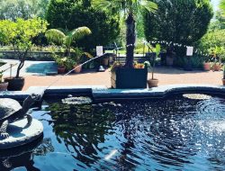 Botanical Gardens New England A Lush Exploration