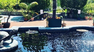 Botanical Gardens New England A Lush Exploration