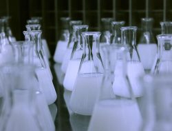 Laboratory Storage Systems Effective Organization Solutions