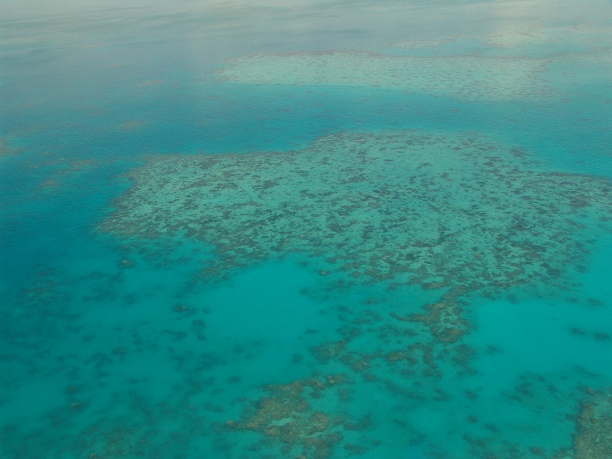 South Pacific Costa Rica - Wikitravel