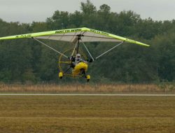 Vehicles Insurance Essential Guide For Every Driver